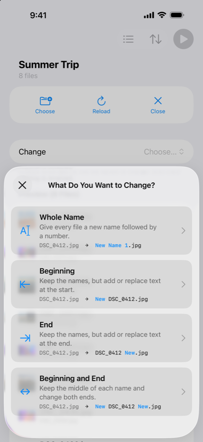 NameSake's “What Do You Want to Change?” sheet, showing Whole Name, Beginning, End, and Beginning and End options.